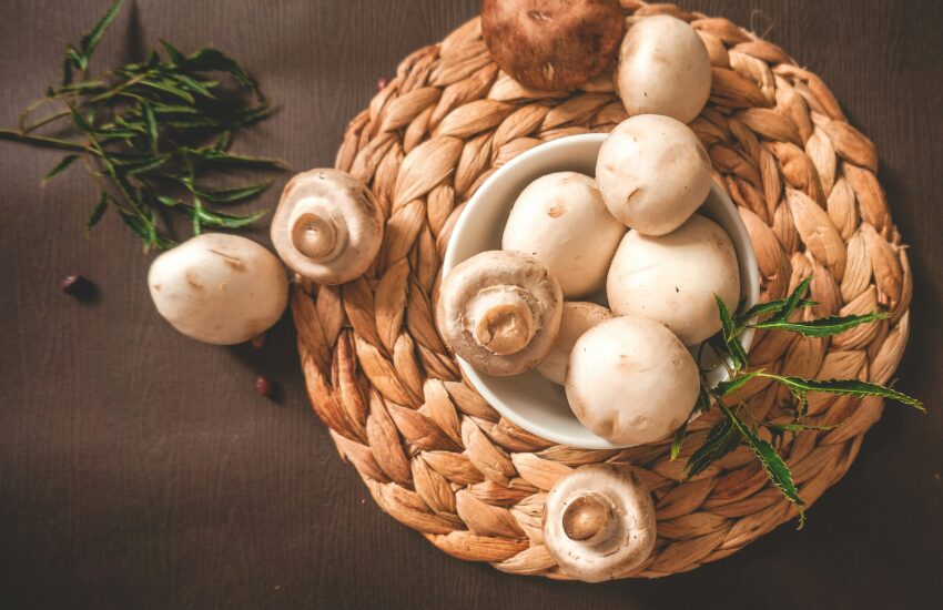 Health Benefits of Mushrooms : Mohit Tandon USA